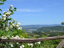 Royal Holiday Home With Swimming Pool