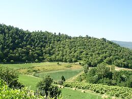 Attractive Farmhouse in Tuscany With Swimming Pool