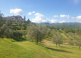 Getaway Amidst Vineyards