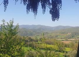 Getaway Amidst Vineyards