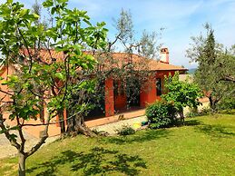 Getaway Amidst Vineyards