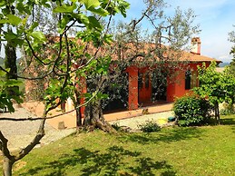 Getaway Amidst Vineyards