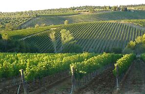 Getaway Amidst Vineyards