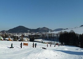 Beautiful Apartment in Willingen With a Balcony