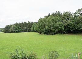 Ferienhaus in Vogtland
