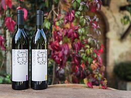 Apartment With Swimming Pool in Marsciano