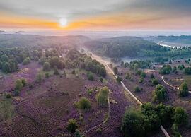 Oud-rekem Heritage Hideaway