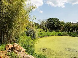 Idyllic Farmhouse in Montemor-o-novo With Pool