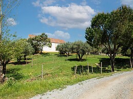 Idyllic Farmhouse in Montemor-o-novo With Pool