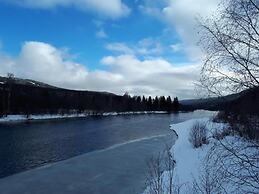 Forest Retreat w/ Sauna