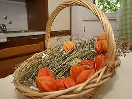 Charming Holiday Home in Pula Near Beach