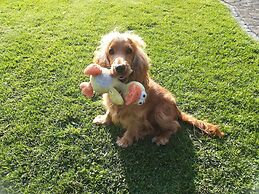 Silbecke Forest View Apartment