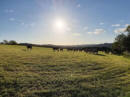 Silbecke Forest View Apartment
