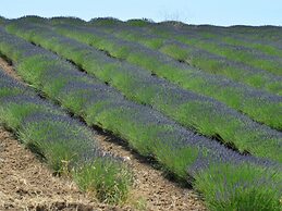 Belvilla by OYO Biancospino