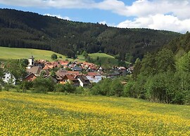Apartment in the Black Forest With Terrace