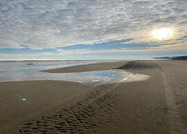 Nice Chalet in Pine Forest near Adriatic Sea