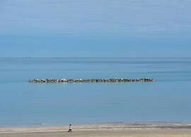 Nice Chalet in Pine Forest near Adriatic Sea