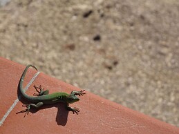 House With Panoramic Terrace, Near the Sea and the City of Syracuse