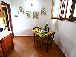Romantic Oasis With Saltwater Pool, Selci