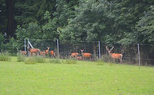 Forestview Family Home