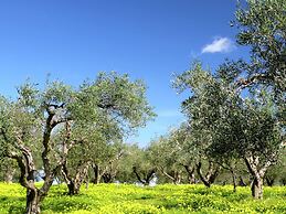 Quaint Holiday Home in Pasalites with Garden near Perama