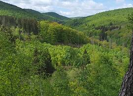 Holiday Home in Hesse with Infrared Sauna near Sauerland