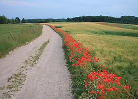 Peaceful Apartment in Klütz Germany near Boltenhagener Beach