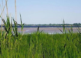 Peaceful Apartment in Klütz Germany near Boltenhagener Beach