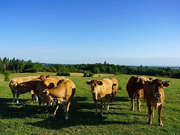 Holiday Home Next to the Royal Castle