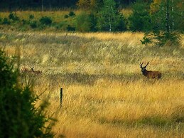 Holiday Home Next to the Royal Castle