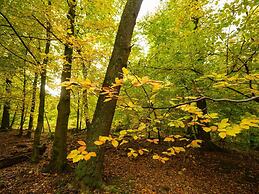 Holiday Home Next to the Royal Castle