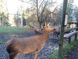 Cosy Holiday Home Palatinate Forest