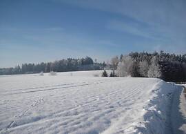 Apartment in Rotthalmunster With Balcony