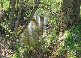 Apartment in Rotthalmunster With Balcony