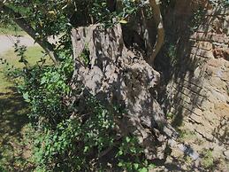 Belvilla by OYO Hilltop Holiday Home With Garden