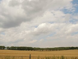 Apartment in Harz With Terrace