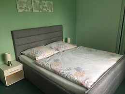 Apartment in Harz With Terrace