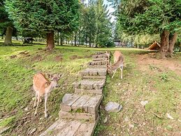 Holiday Home in Houffalize With Terrace