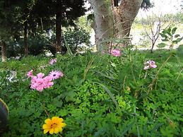 Villa in Lefkogia Crete With Swimming Pool