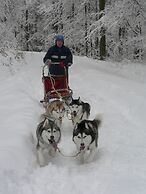 Stylish Apartment in Stormbruch With Garden