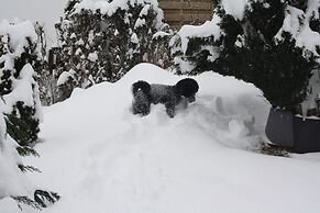 Stylish Apartment in Stormbruch With Garden