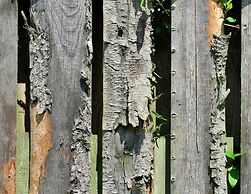 Stylish Apartment in Stormbruch With Garden