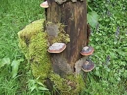 Cozy Apartment in Hallenberg With Terrace