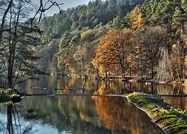 Opulent Holiday Home in Spa with Sauna, Hot Tub, Playroom