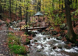 Opulent Holiday Home in Spa with Sauna, Hot Tub, Playroom