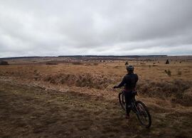 Opulent Holiday Home in Spa with Sauna, Hot Tub, Playroom