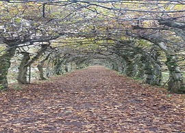 Opulent Holiday Home in Spa with Sauna, Hot Tub, Playroom