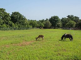 Attractive Holiday Home with Pool, Hot Tub, Patio, Courtyard