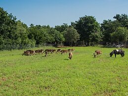 Attractive Holiday Home with Pool, Hot Tub, Patio, Courtyard