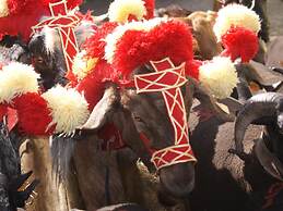 Spacious Holiday Home on Estate Near Covas